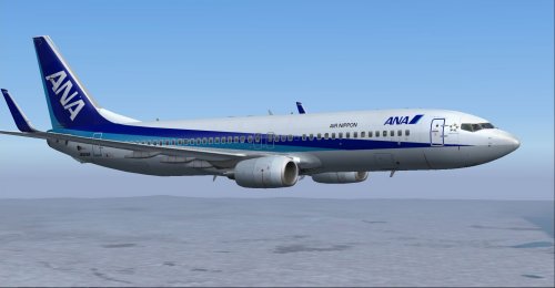 ANA/Air Nippon 737-881 \