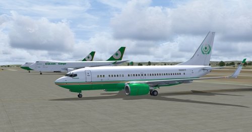 FSX iFly 737-BBJ N888YF Evergreen Group