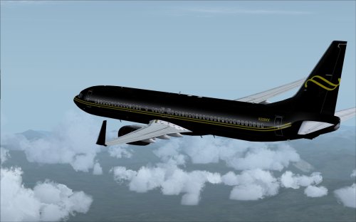 FS9 BBJ3 Black and Gold US