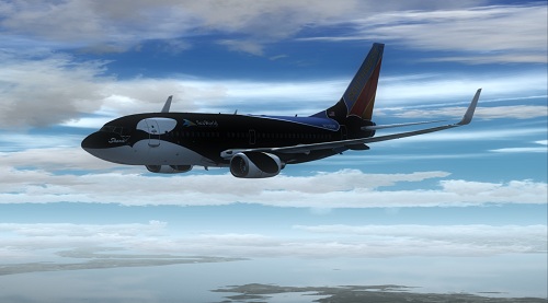 Shamu Southwest Plane