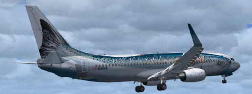FSX New Alaska Salmon B800