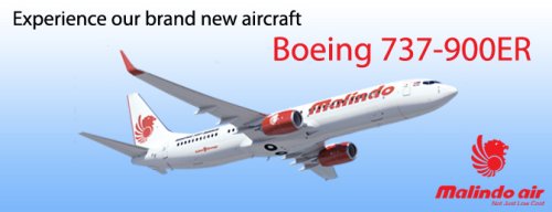 New Malindo Air FSX. Converted from FS9 texture