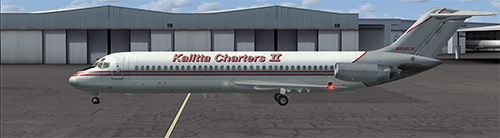 corina meyer repaints